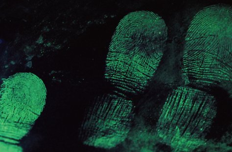 Forensic & Security Inspection